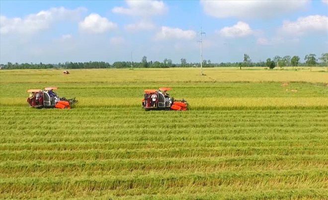 Cho phép chuyển đổi hơn 73 ha đất trồng lúa để làm dự án ở Long An