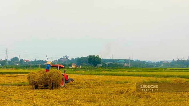 Thủ tục chuyển mục đích sử dụng đất nông nghiệp lên đất ở