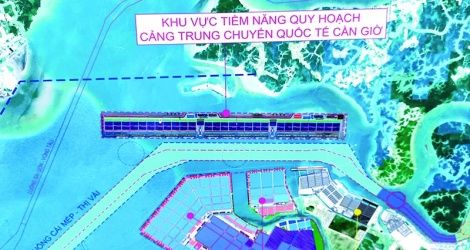 TP.HCM nêu 2 phương án chọn nhà đầu tư "siêu" cảng quốc tế Cần Giờ