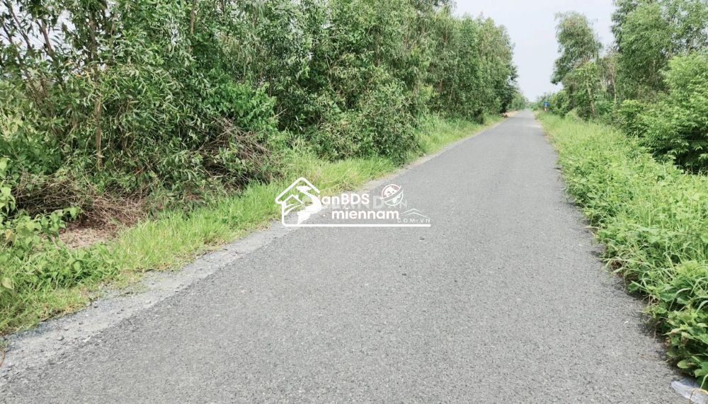 Đất vườn chanh mặt tiền lộ nhựa xe tải tới đất Tân Hiệp, Thạnh Hóa, Long An giá 65tr/1m ngang
