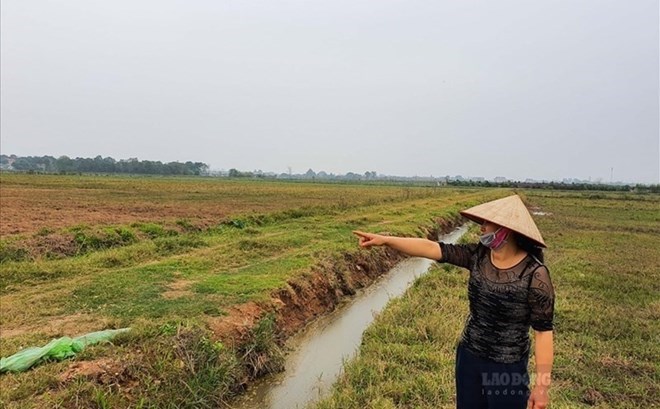 Lưu ý về tập trung đất nông nghiệp theo Luật Đất đai 2024