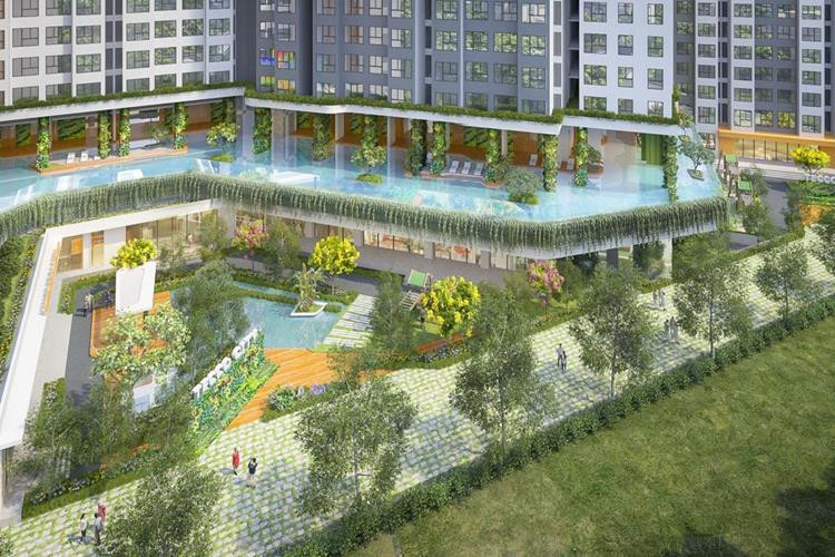 Hồ bơi dự án khu căn hộ Tecco Luxury Thuận An